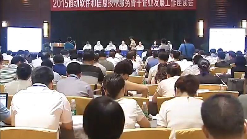 软硬件采购合同定制开发条款：关键要素与风险规避**